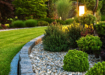 Closeup of Professionally Landscaped Flower Bed with Decorative Green Garden Plants and Evenly Mowed Lawn in the Background.